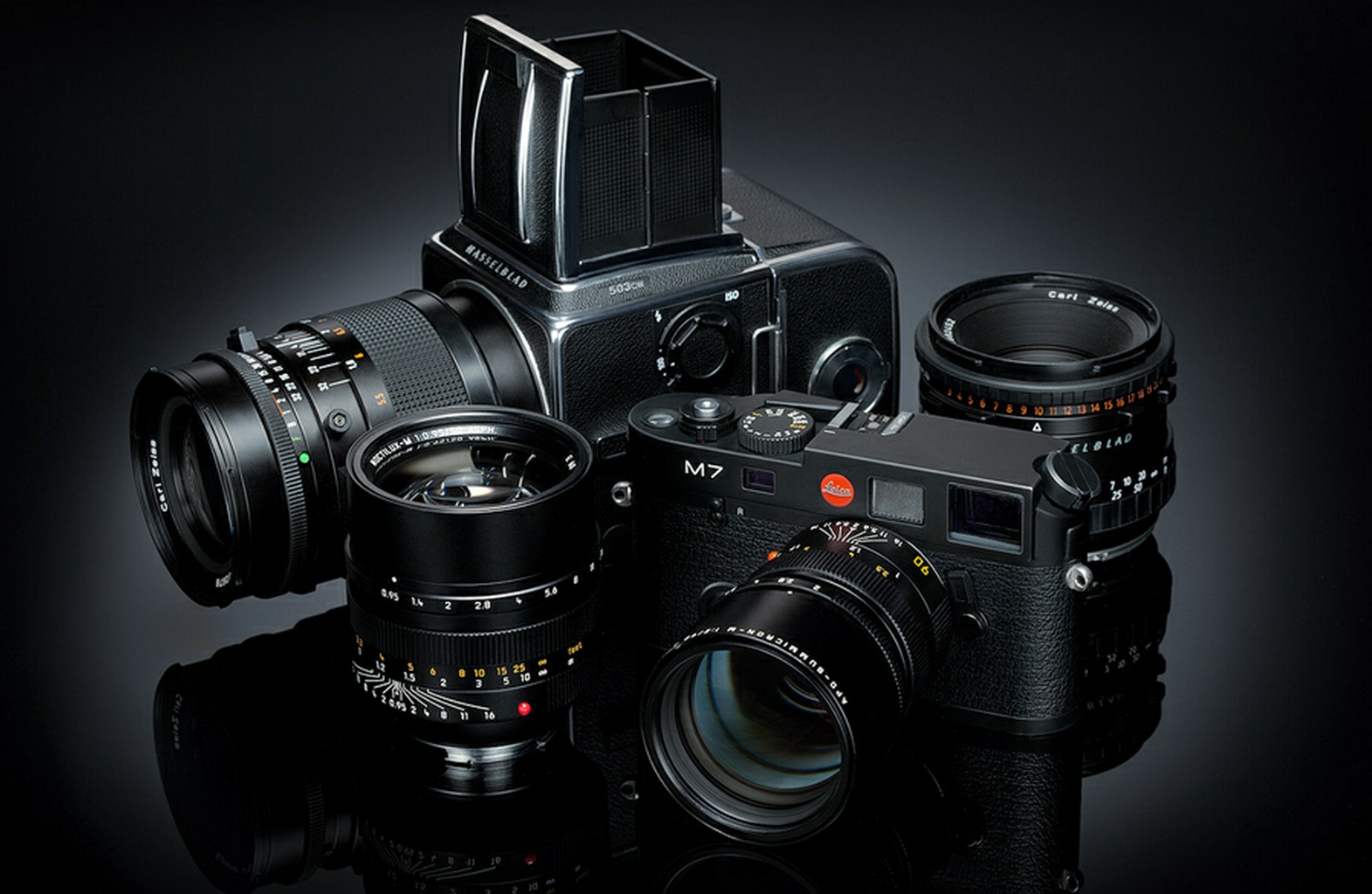 LEICA & HASSELBLAD