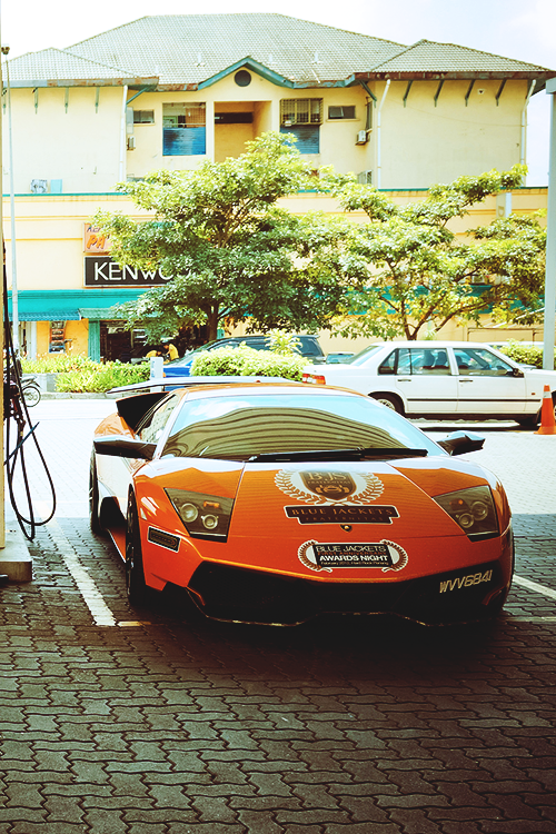 murcielago