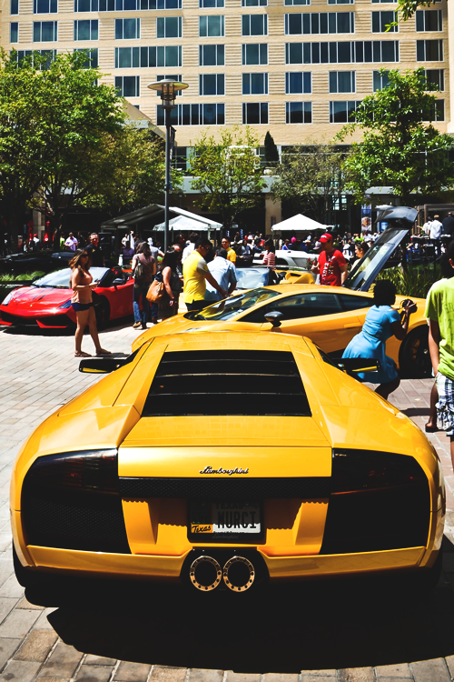 lambo fest