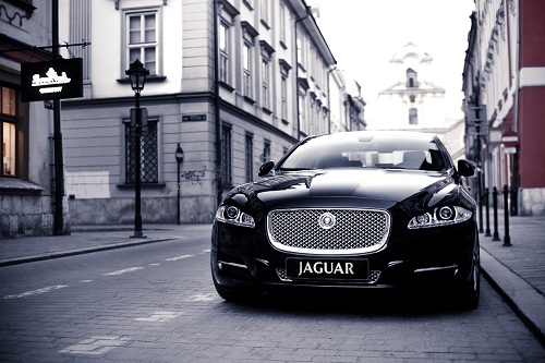 jaguar