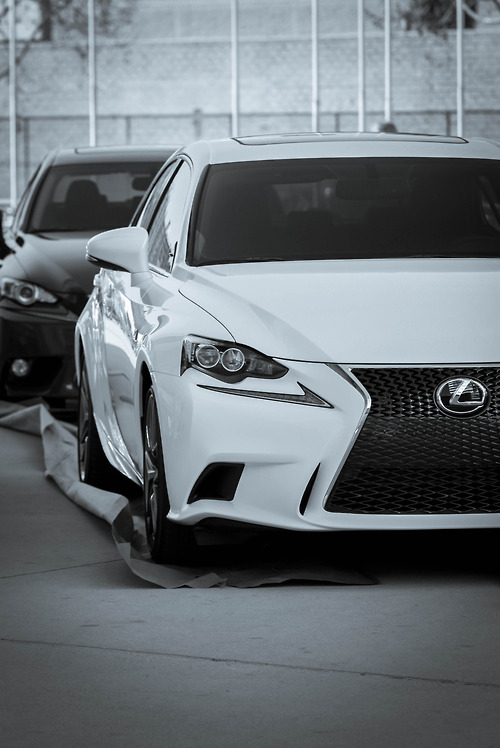 lexus