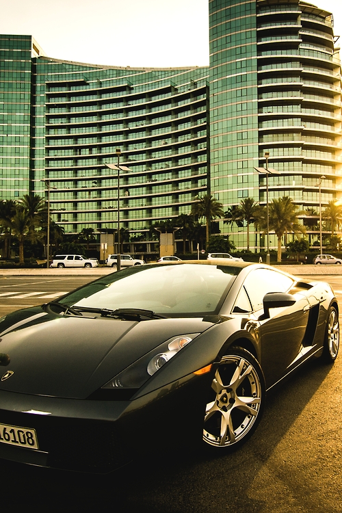 gallardo